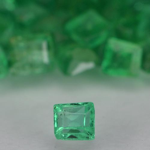 1,34 ct natürliche grüner Smaragd-Edelsteine, Quadrat, VS-SI