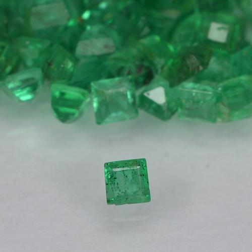 1,23 ct natürliche grüner Smaragd-Edelsteine, Quadrat, VS-SI