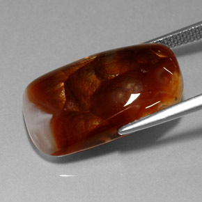 11,41 ctw natürlicher mehrfarbiger Feuerachat, Transparent, Transparent / Lichtdurchlässig