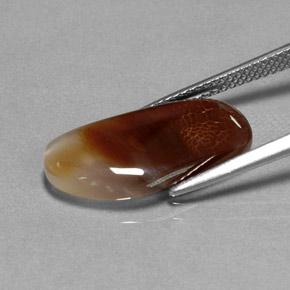 6,66 ctw natürlicher mehrfarbiger Feuerachat, Transparent, Transparent / Lichtdurchlässig