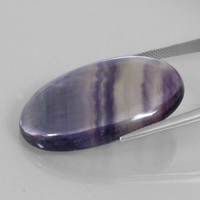 50,75 ctw natürlicher mehrfarbiger Fluorit, Oval Schliff, Transparent