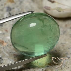 9,17 ctw natürlicher Erdiges Grün Fluorit, Oval, Transparent