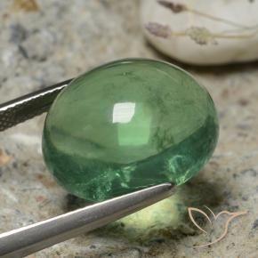 9,17 ctw natürlicher Erdiges Grün Fluorit, Oval, Transparent