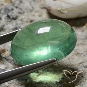 9,17 ctw natürlicher hellgrün Fluorit, Oval, Transparent