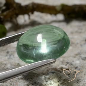 9,17 ctw natürlicher hellgrün Fluorit, Oval, Transparent