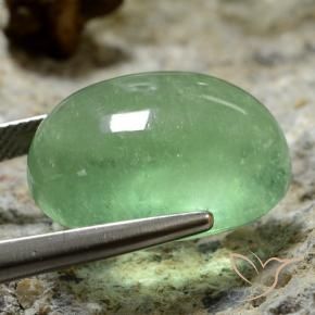 9,17 ctw natürlicher hellgrün Fluorit, Oval, Transparent