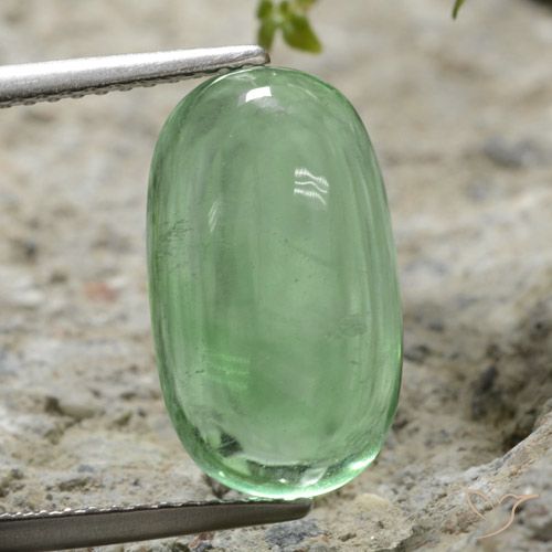 7.35ct Natürlicher hellgrün Fluorit, Oval, Transparent