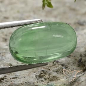 9,17 ctw natürlicher hellgrün Fluorit, Oval, Transparent