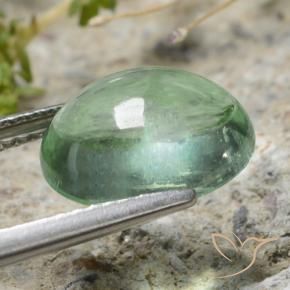 9,17 ctw natürlicher Erdiges Grün Fluorit, Oval, Transparent