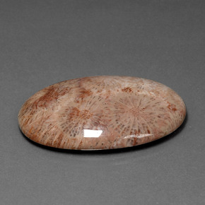 9,17 ctw natürlicher Mehrfarbig Korallen-Fossil, Oval Schliff, Lichtundurchlässig