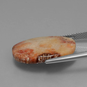 9,17 ctw natürlicher Mehrfarbig Korallen-Fossil, Oval Schliff, Lichtundurchlässig