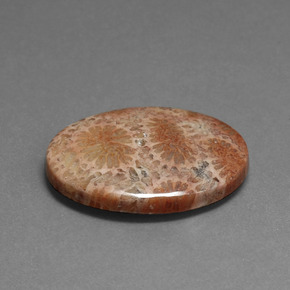 9,17 ctw natürlicher Mehrfarbig Korallen-Fossil, Oval Schliff, Lichtundurchlässig