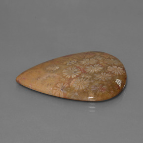 9,17 ctw natürlicher Mehrfarbig Korallen-Fossil, Birnenform, Lichtundurchlässig