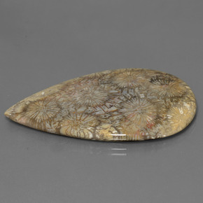 9,17 ctw natürlicher Mehrfarbig Korallen-Fossil, Birnenform, Lichtundurchlässig