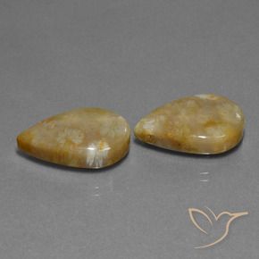 21.95 ct natürliche Mehrfarbig Korallen-Fossil-Edelsteine, Birnenform, Lichtundurchlässig