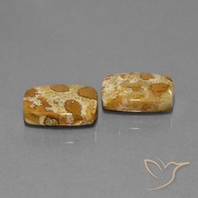 19.08 ct natürliche Mehrfarbig Korallen-Fossil-Edelsteine, Kissen, Lichtundurchlässig