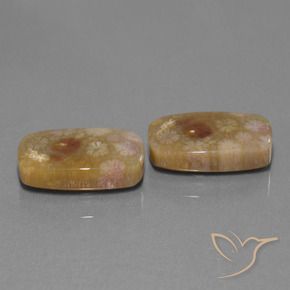 30.11 ct natürliche Mehrfarbig Korallen-Fossil-Edelsteine, Kissen, Lichtundurchlässig