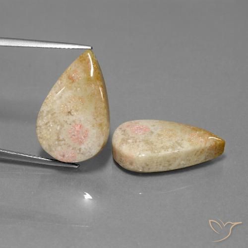 28.35ctw Natürlicher Mehrfarbig Korallen-Fossil, Birnenform, Lichtundurchlässig