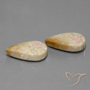 28.35 ct natürliche Mehrfarbig Korallen-Fossil-Edelsteine, Birnenform, Lichtundurchlässig