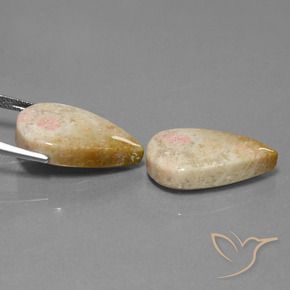 28.35 ct natürliche Mehrfarbig Korallen-Fossil-Edelsteine, Birnenform, Lichtundurchlässig