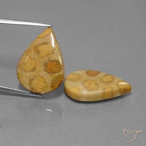 22.90ctw Natürlicher Mehrfarbig Korallen-Fossil, Birnenform, Lichtundurchlässig