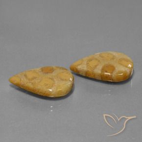 22.90 ct natürliche Mehrfarbig Korallen-Fossil-Edelsteine, Birnenform, Lichtundurchlässig