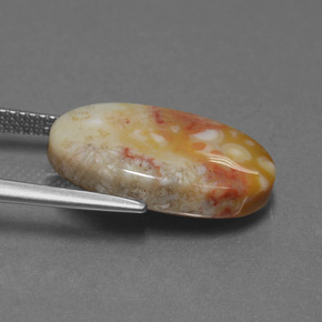 9,17 ctw natürlicher Mehrfarbig Fossile Koralle, Oval Schliff, Lichtundurchlässig