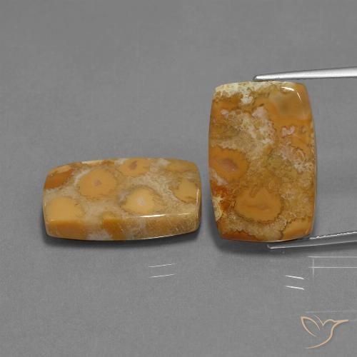 29.77ctw Natürlicher Mehrfarbig Korallen-Fossil, Kissen, Lichtundurchlässig