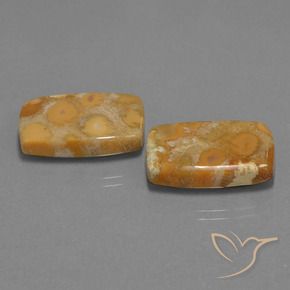 29.77 ct natürliche Mehrfarbig Korallen-Fossil-Edelsteine, Kissen, Lichtundurchlässig