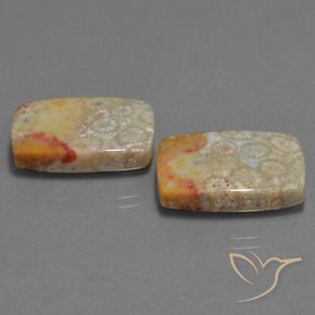 29.41 ct natürliche Mehrfarbig Korallen-Fossil-Edelsteine, Kissen, Lichtundurchlässig