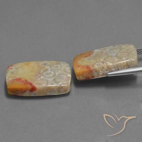 29.41 ct natürliche Mehrfarbig Korallen-Fossil-Edelsteine, Kissen, Lichtundurchlässig