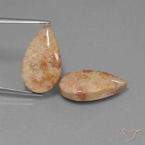 22.64ctw Natürlicher Mehrfarbig Korallen-Fossil, Birnenform, Lichtundurchlässig
