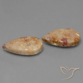 22.64 ct natürliche Mehrfarbig Korallen-Fossil-Edelsteine, Birnenform, Lichtundurchlässig