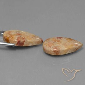 22.64 ct natürliche Mehrfarbig Korallen-Fossil-Edelsteine, Birnenform, Lichtundurchlässig