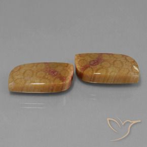 28.06 ct natürliche Mehrfarbig Korallen-Fossil-Edelsteine, Fantasie, Lichtundurchlässig