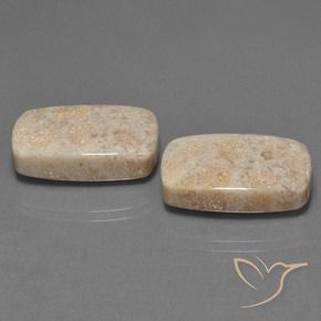 30.16 ct natürliche Mehrfarbig Korallen-Fossil-Edelsteine, Kissen, Lichtundurchlässig