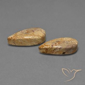 25.79 ct natürliche Mehrfarbig Korallen-Fossil-Edelsteine, Birnenform, Lichtundurchlässig