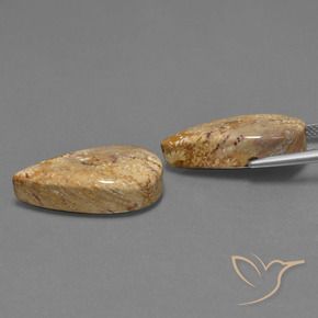 25.79 ct natürliche Mehrfarbig Korallen-Fossil-Edelsteine, Birnenform, Lichtundurchlässig