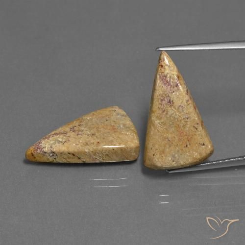 16.43ctw Natürlicher Mehrfarbig Korallen-Fossil, Trillion, Lichtundurchlässig