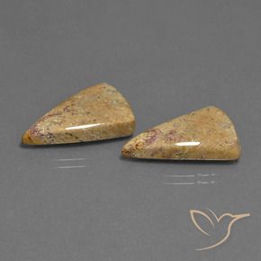 16.43 ct natürliche Mehrfarbig Korallen-Fossil-Edelsteine, Trillion, Lichtundurchlässig