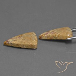 16.43 ct natürliche Mehrfarbig Korallen-Fossil-Edelsteine, Trillion, Lichtundurchlässig
