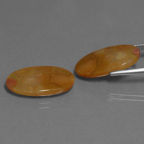  ct natürliche Mehrfarbig Korallen-Fossil-Edelsteine, Oval Schliff, Lichtdurchlässig