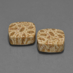  ct natürliche Mehrfarbig Korallen-Fossil-Edelsteine, Kissenschliff, Lichtundurchlässig