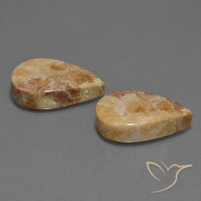 33.44 ct natürliche Mehrfarbig Korallen-Fossil-Edelsteine, Birnenform, Lichtundurchlässig