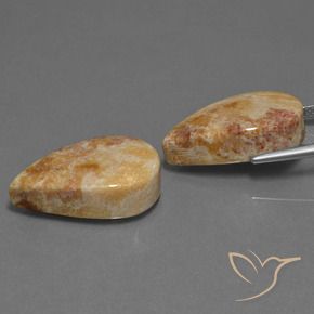 33.44 ct natürliche Mehrfarbig Korallen-Fossil-Edelsteine, Birnenform, Lichtundurchlässig