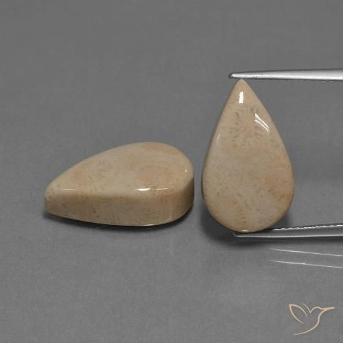 17.01ctw Natürlicher Mehrfarbig Korallen-Fossil, Birnenform, Lichtundurchlässig
