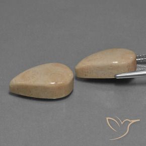 17.01 ct natürliche Mehrfarbig Korallen-Fossil-Edelsteine, Birnenform, Lichtundurchlässig