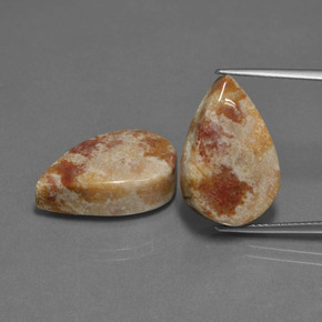  ct natürliche Mehrfarbig Fossile Koralle-Edelsteine, Birnenform, Lichtundurchlässig