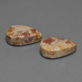  ct natürliche Mehrfarbig Fossile Koralle-Edelsteine, Birnenform, Lichtundurchlässig