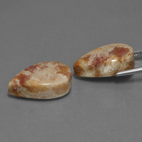  ct natürliche Mehrfarbig Fossile Koralle-Edelsteine, Birnenform, Lichtundurchlässig